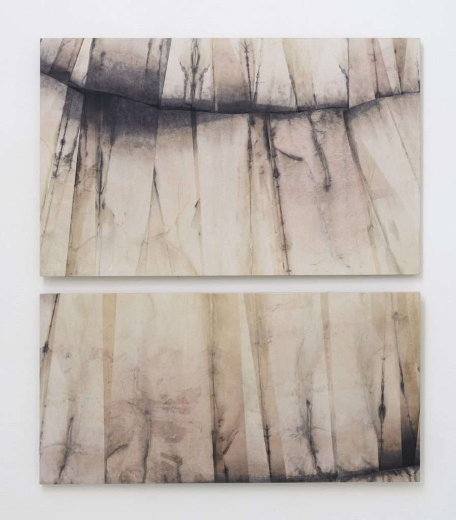 Unpredictable Behaviours, carta su mdf, colori naturali, 2024 (foto di Giorgio Benni)
